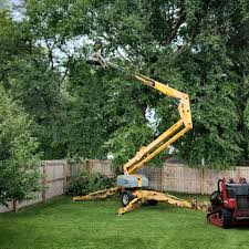 How Our Tree Care Process Works  in  High Springs, FL