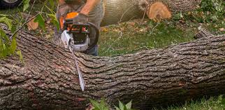 Best Artificial Turf Installation  in High Springs, FL